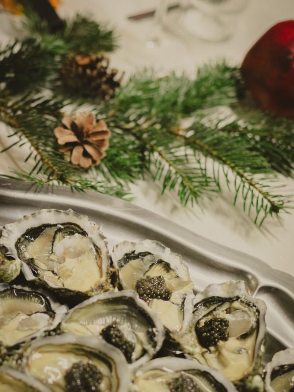 fin de saison prés d'eugénie emilie silobre photographe 43